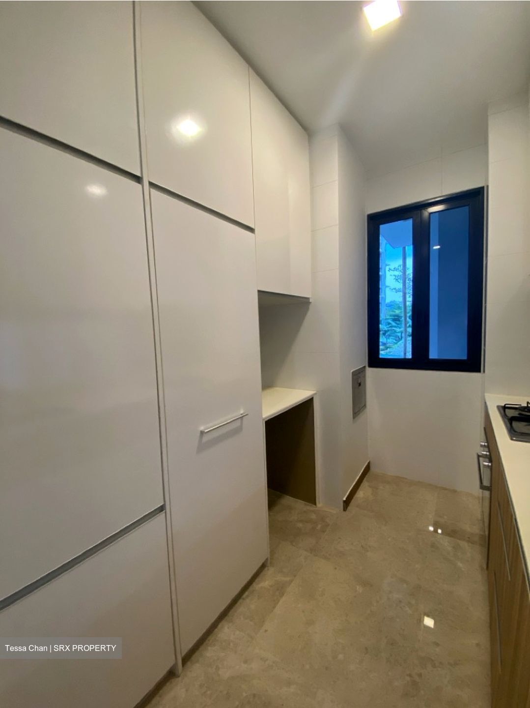 Eco Sanctuary (D23), Condominium #623586141
